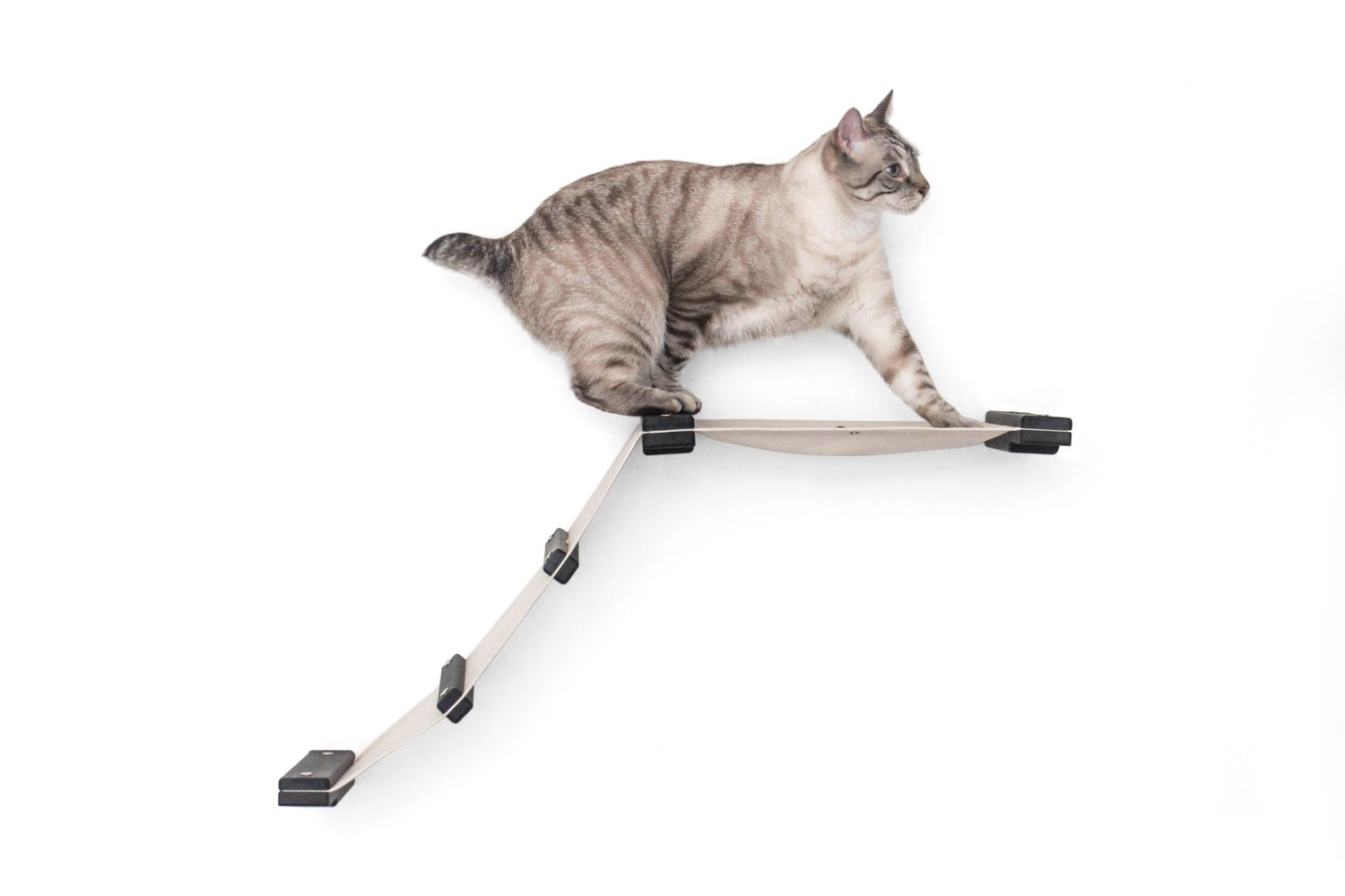 The Lift- Cat Hammock Bed