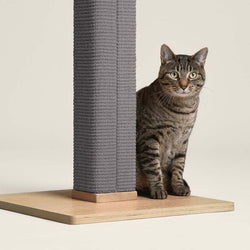 Zip Scratching Post