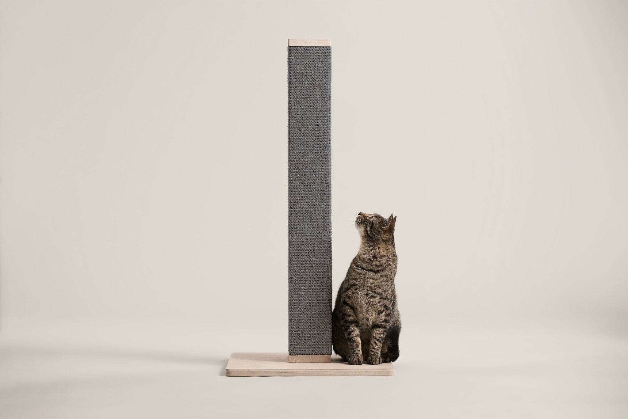 Zip Scratching Post