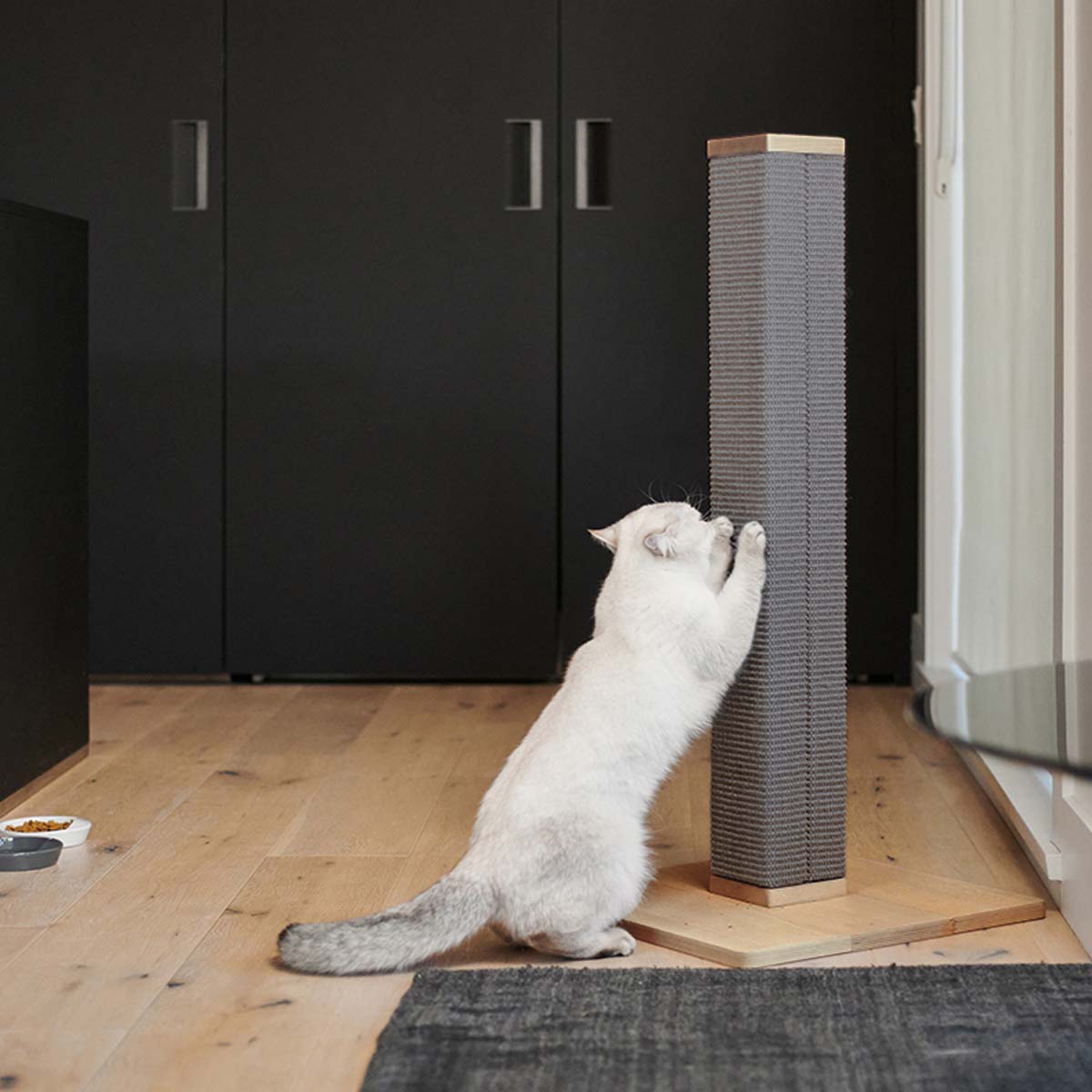 Zip Scratching Post