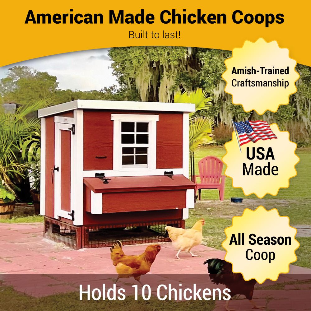 Medium Chicken Coop - Up to 10 Chickens