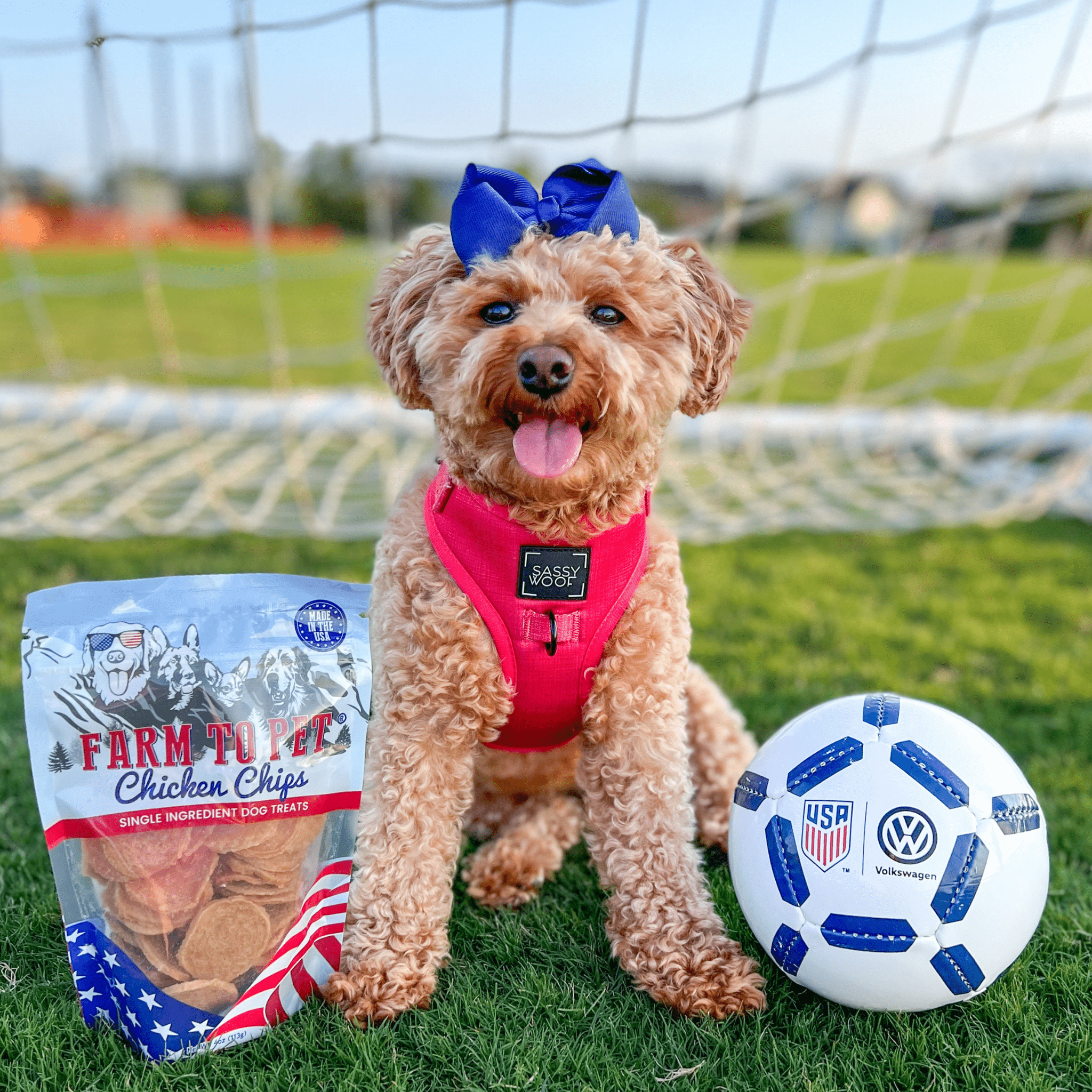 Farm To Pet Americana Chicken Chips for Dogs