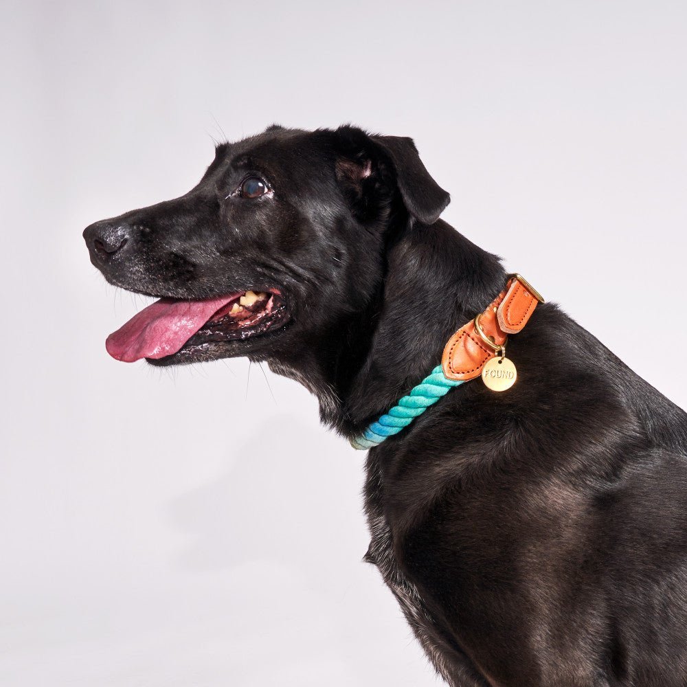 Azure Cotton Rope Cat & Dog Collar