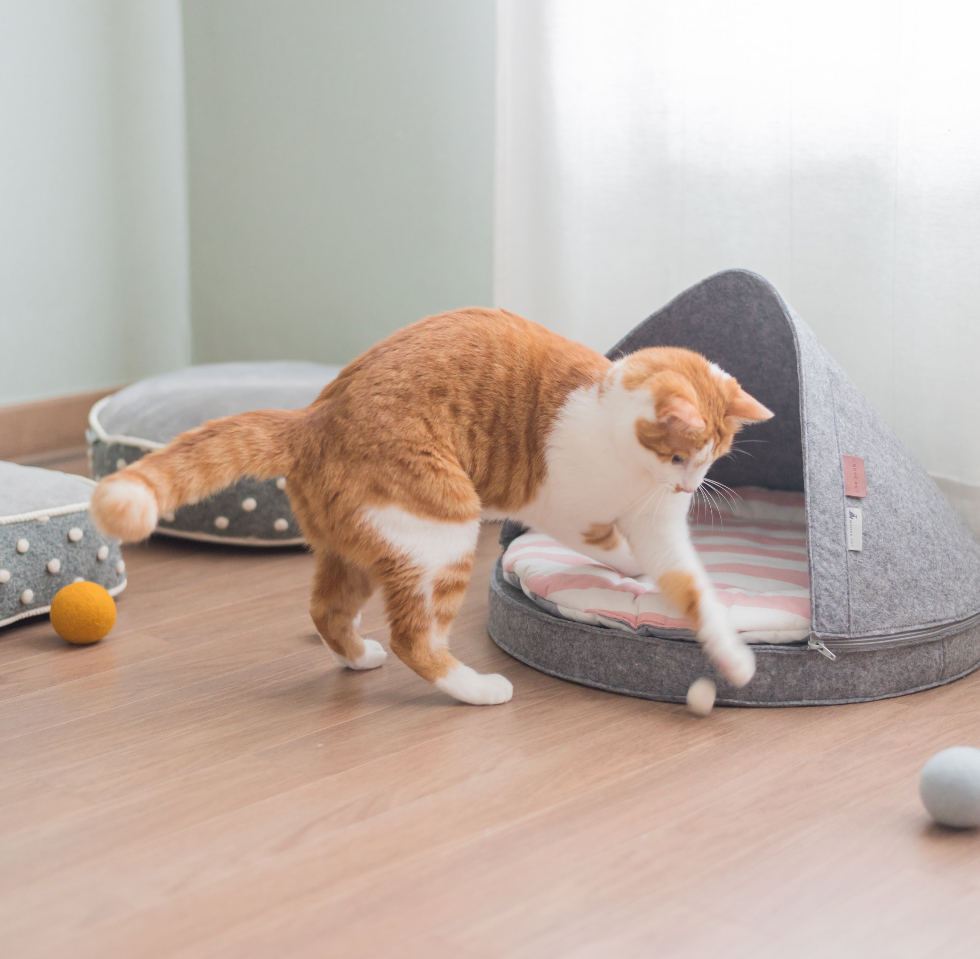 Nooee Pet Wool Toy Ball Set (2 cm)