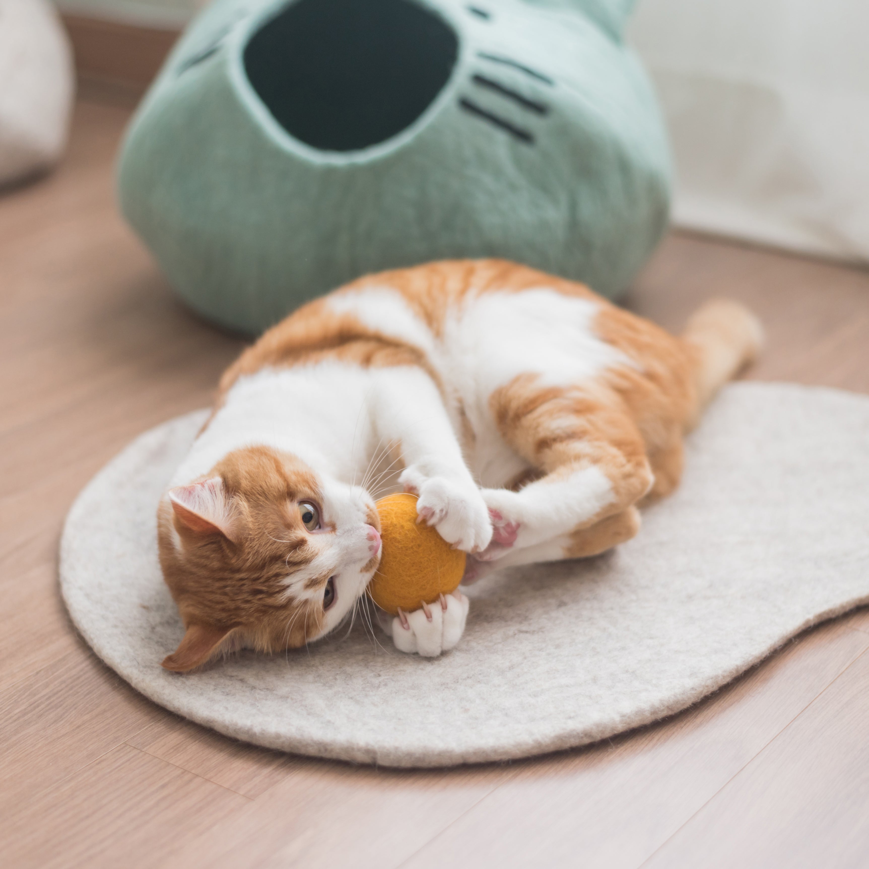 Nooee pet Wool Toy Ball (4CM)