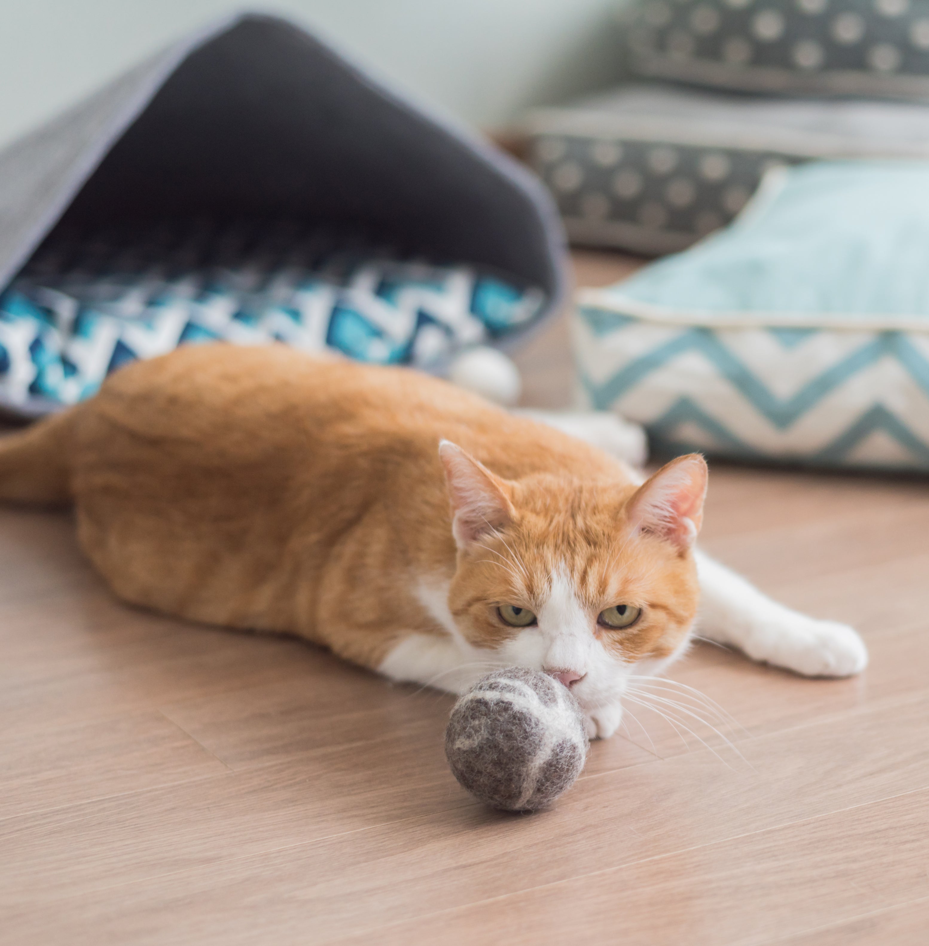 Nooee Pet Wool Toy Ball Set (5CM)