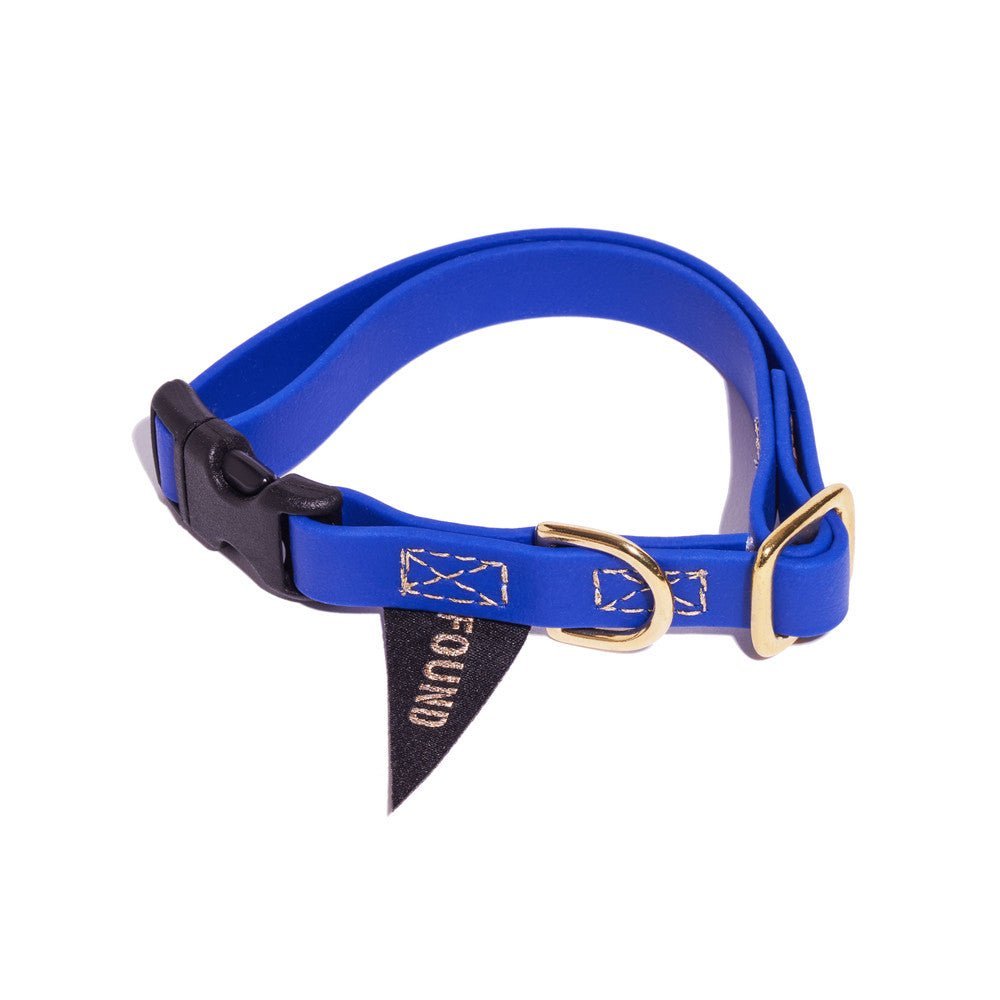 Biothane® Leather Alternative Dog & Cat Collar – Waterproof & Durable | Bright Blue