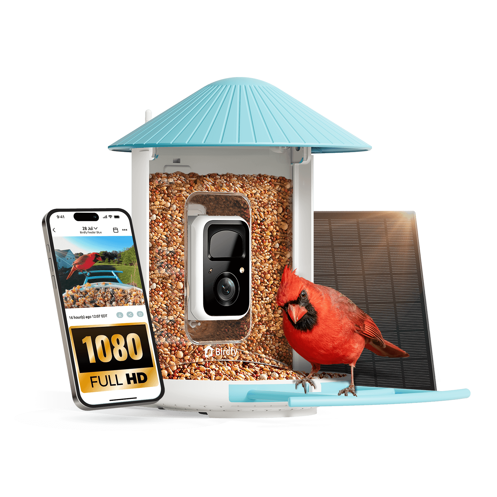 Birdfy Feeder with Solar Panel - Solar-Powered Smart Bird Feeder with Camera