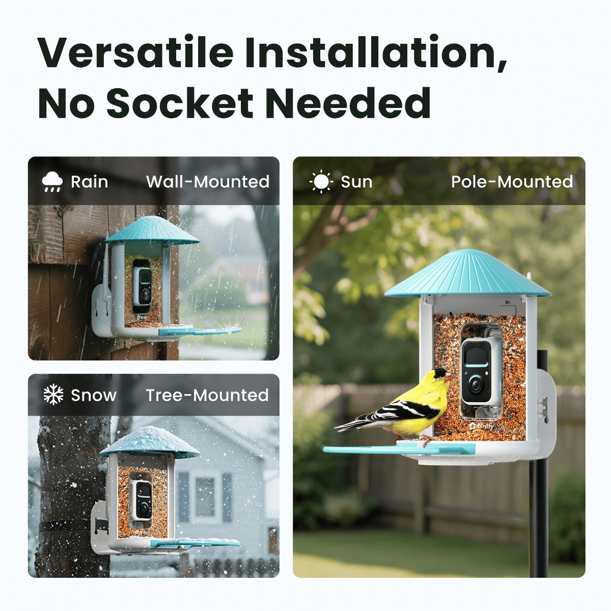 Birdfy Feeder with Solar Panel - Solar-Powered Smart Bird Feeder with Camera
