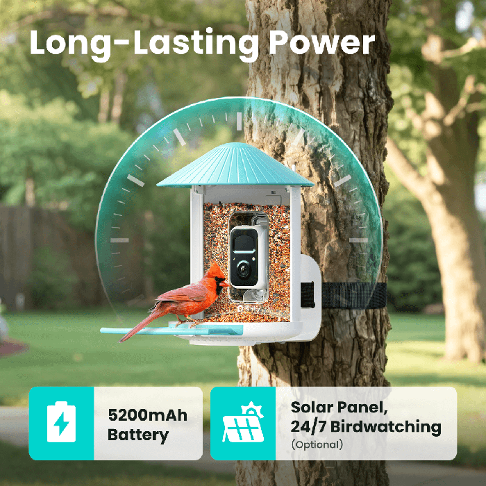 Birdfy Feeder - AI-Powered Smart Bird Feeder with Camera
