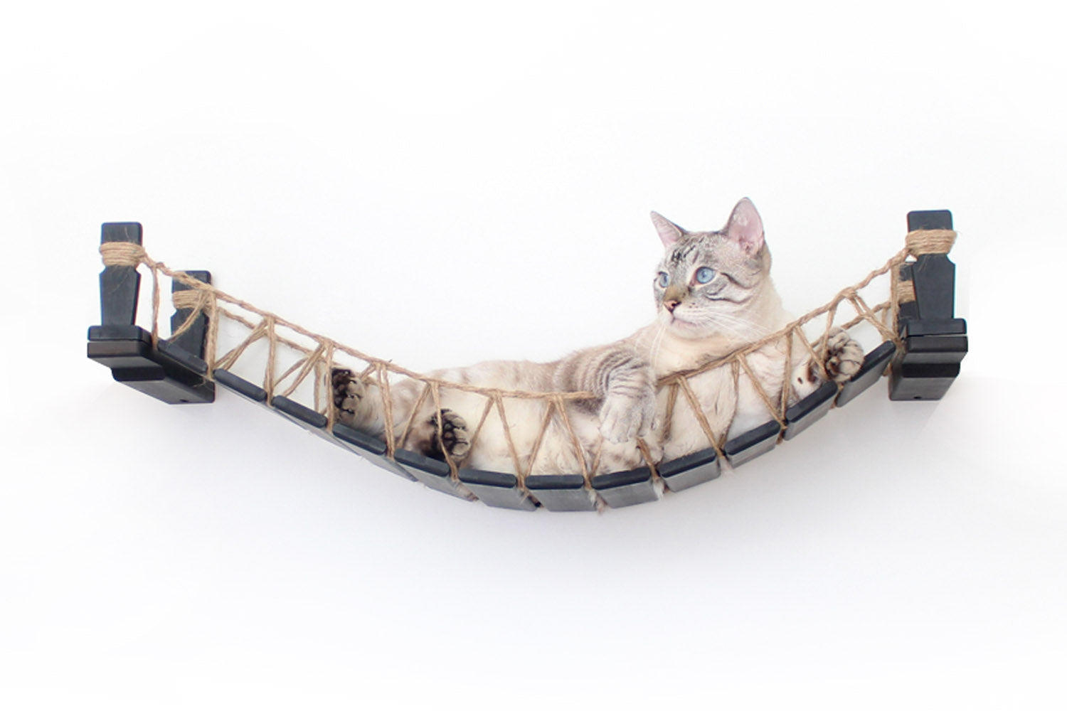 Cat Bridge for Wall