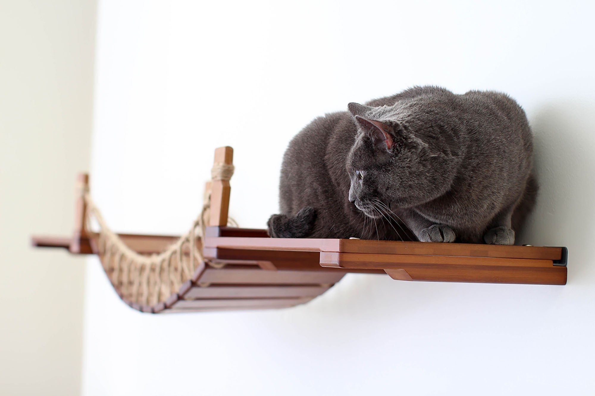 Cat Wall Bridge and Shelf Set