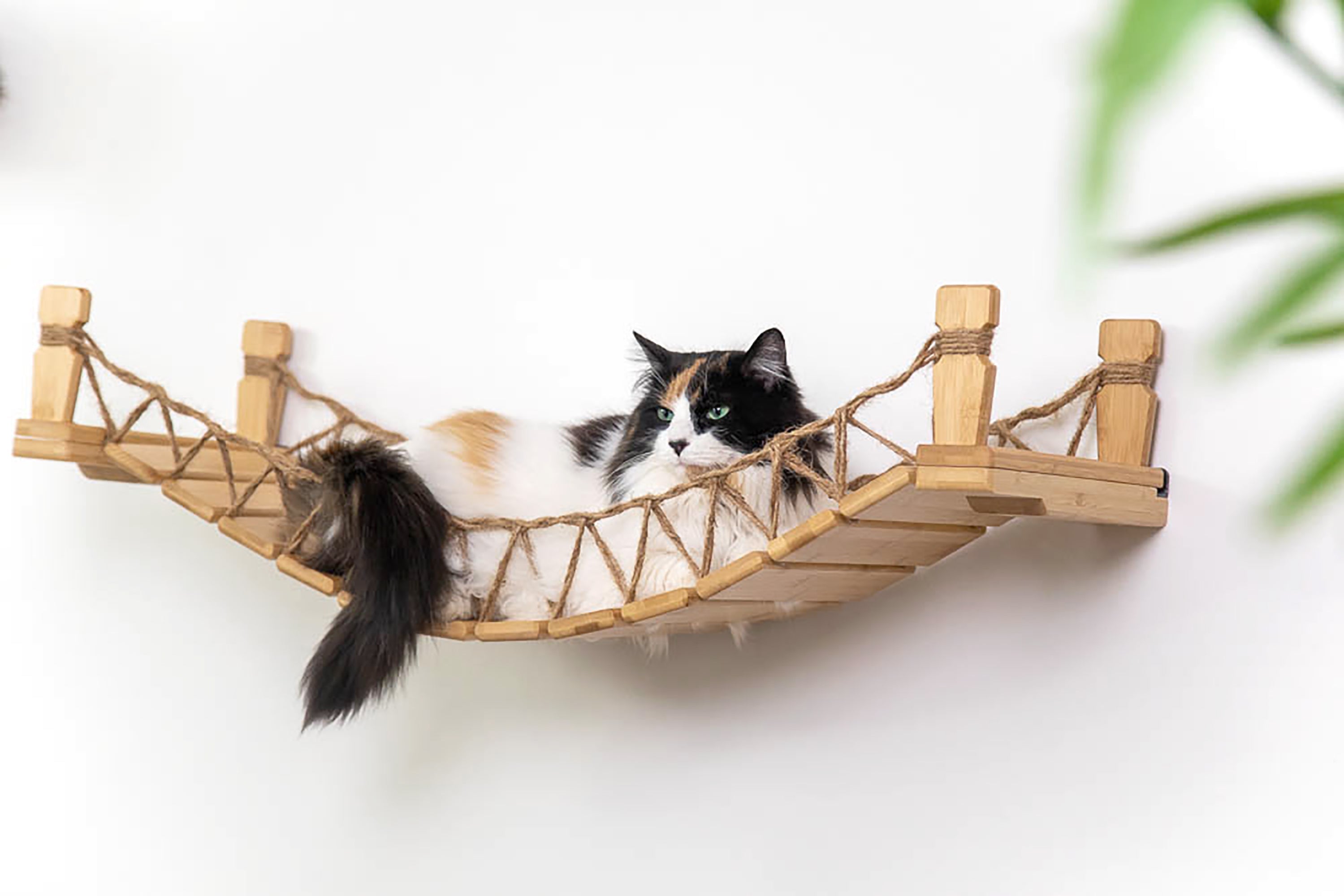 Cat Bridge for Wall