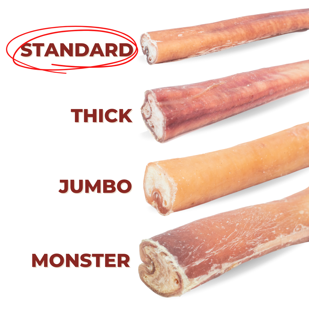 12 Inch Standard Bully Stick