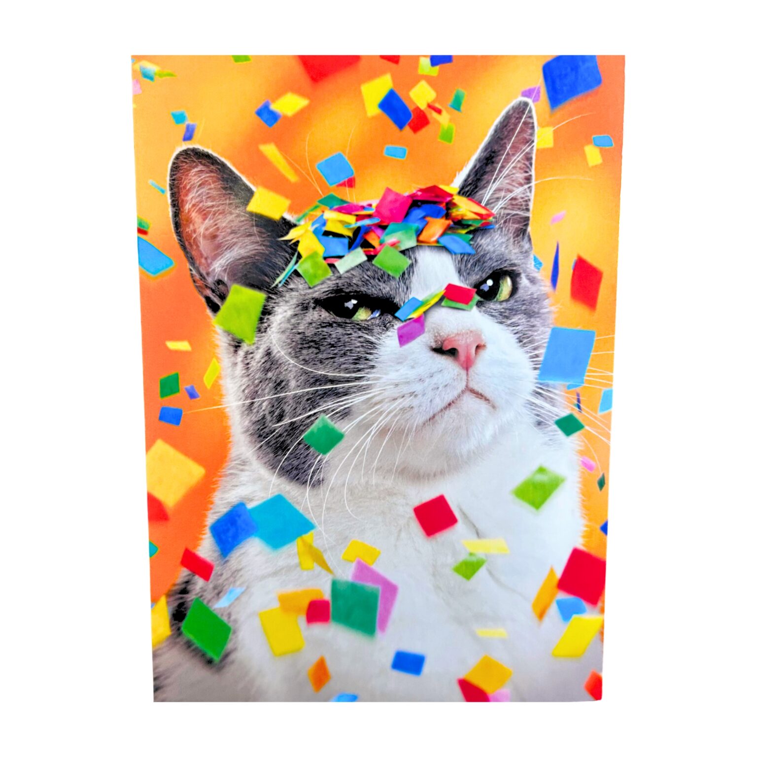 Avanti Snarky Confetti Cat Greeting Card