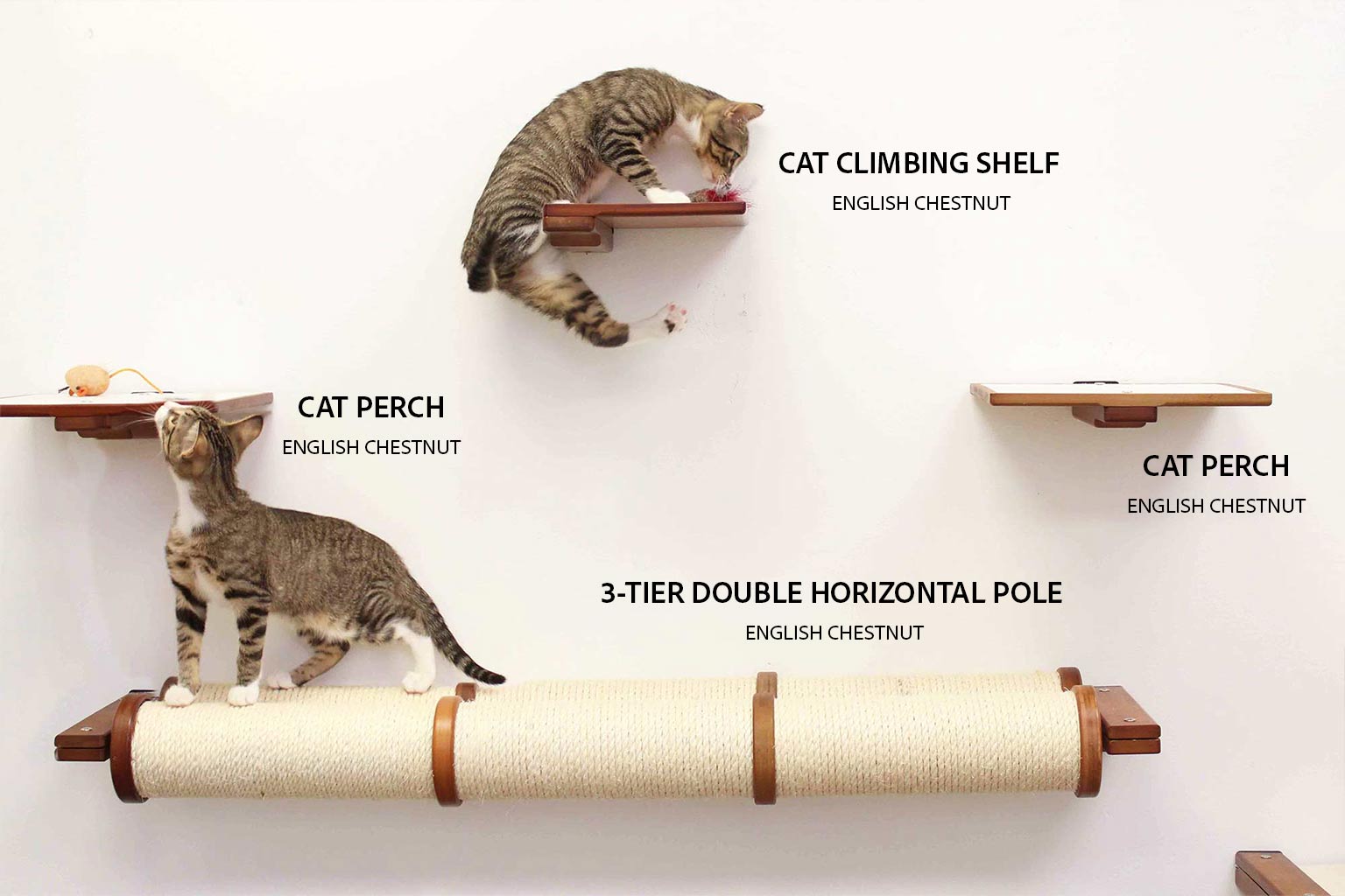Cat Perch - Wall Mounted and Wooden