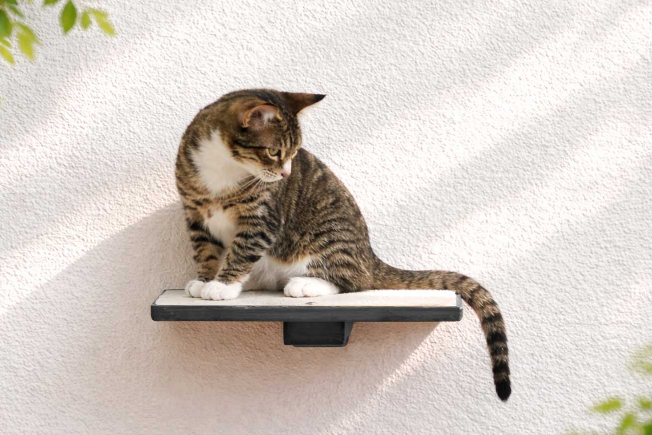 Cat Perch - Wall Mounted and Wooden
