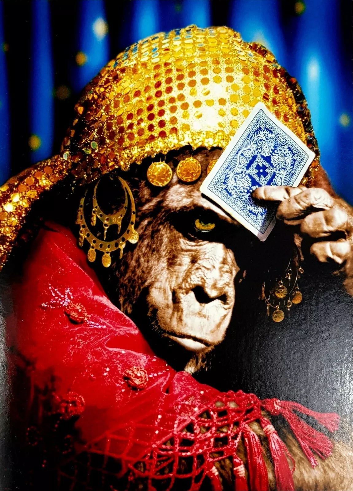 Avanti Fortune Telling Gorilla Greeting Card