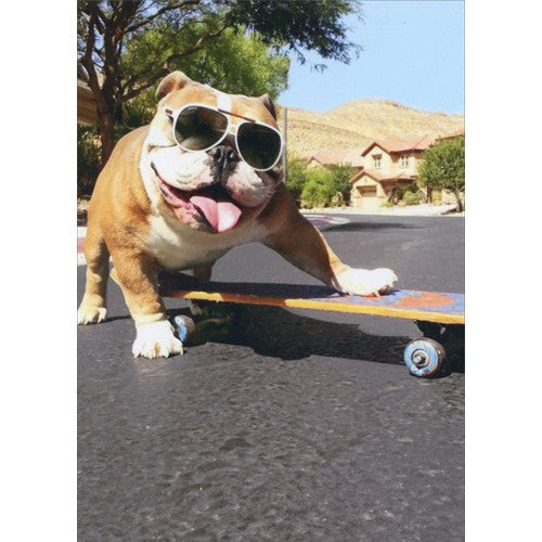 Avanti Bulldog Sunglasses Skateboard Greeting Card