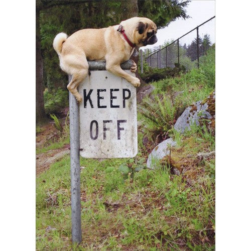 Avanti Dog Pug Keep Off Sign Greeting Card