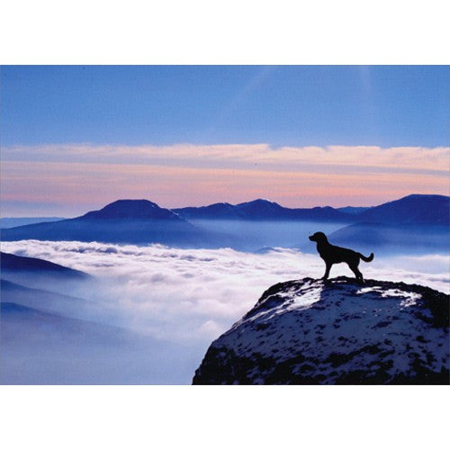 Avanti Dog On Mountain Greeting Card