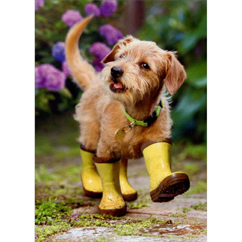 Avanti Puppy In Garden Greeting Card