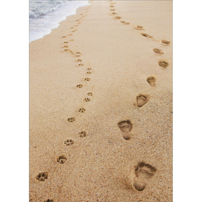 Avanti Human And Dog Footprints Greeting Card