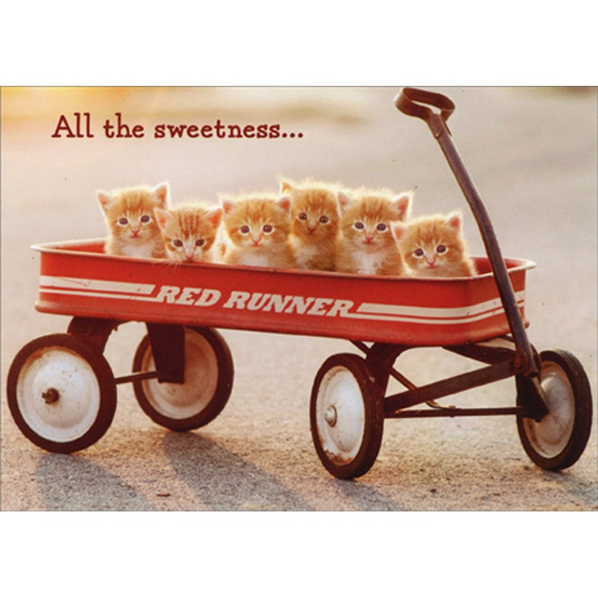 Avanti Kitten In Wagon-New Pet Greeting Card