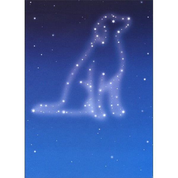 Avanti Dog Sympathy Stars Greeting Card