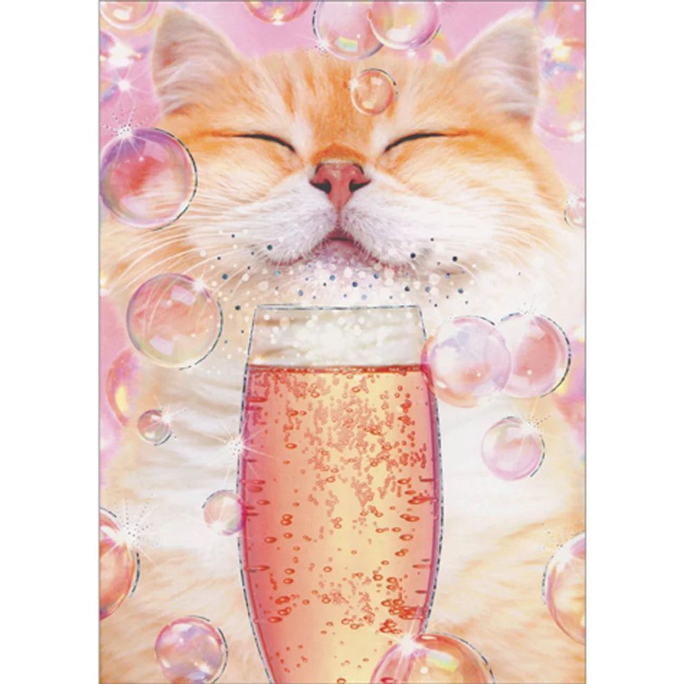 Avanti Cat With Champagne Core Greeting Card