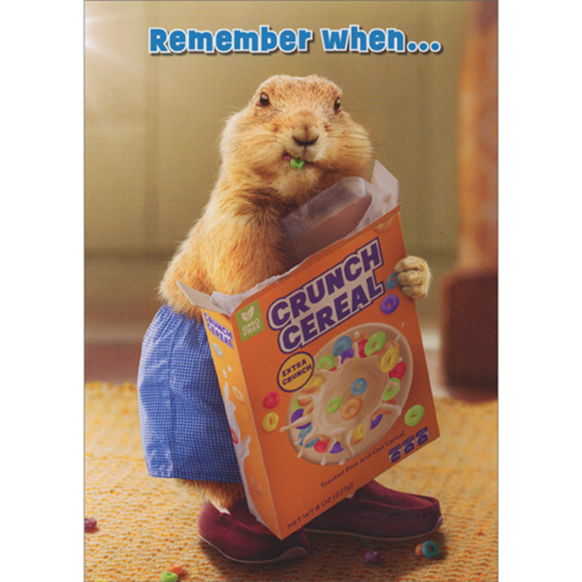 Avanti Groundhog Cereal Box Greeting Card