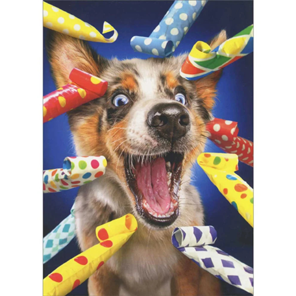 Avanti Happy Dog Party Blowers Greeting Card