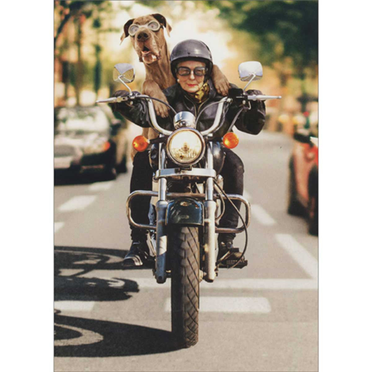 Avanti Woman And Dog Riding Motorcycle Greeting Card