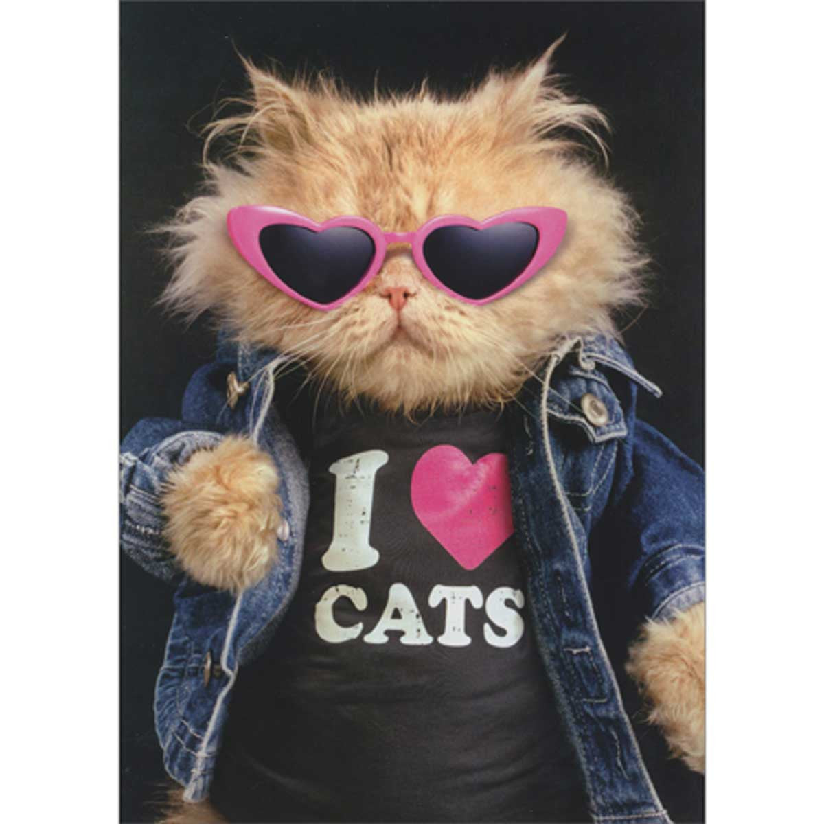 Avanti Cool Cat In Denim Jacket Greeting Card