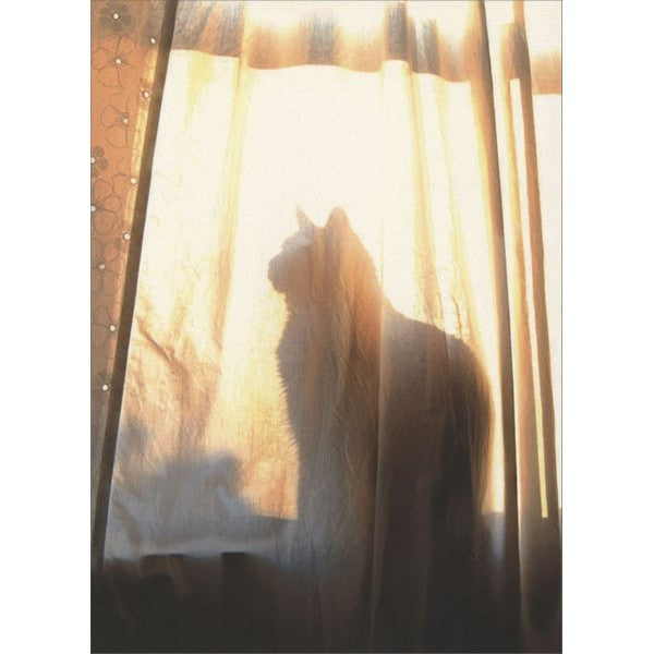 Avanti Silhouette Cat Greeting Card