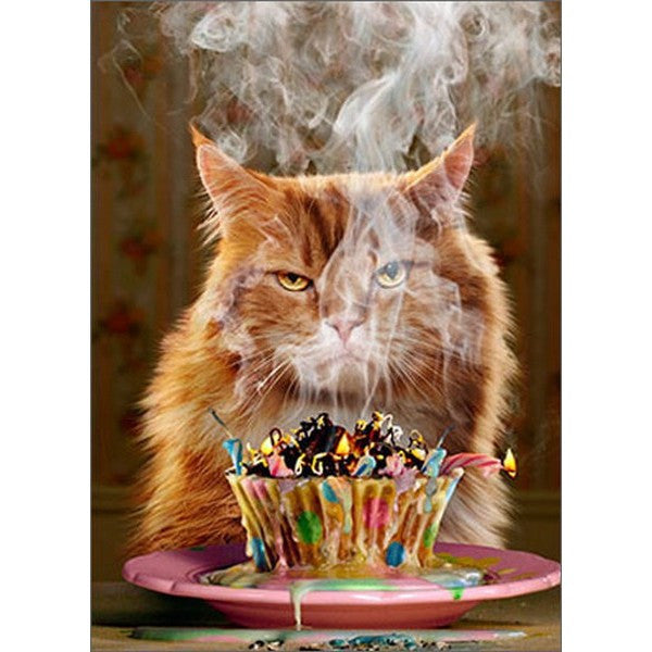 Avanti Birthday Cupcake Greeting Card