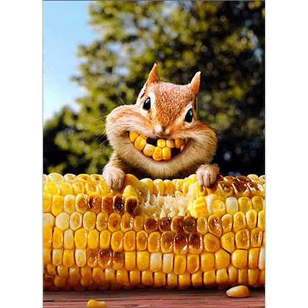 Avanti Chipmunk Corn Teeth Greeting Card