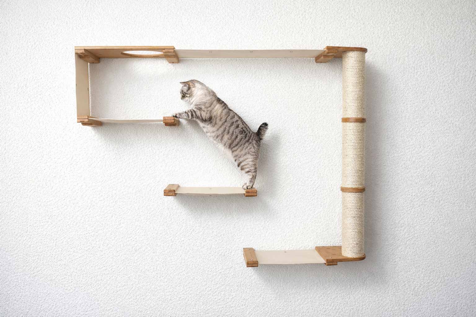The Climb Condo - Cat Wall Climbing System