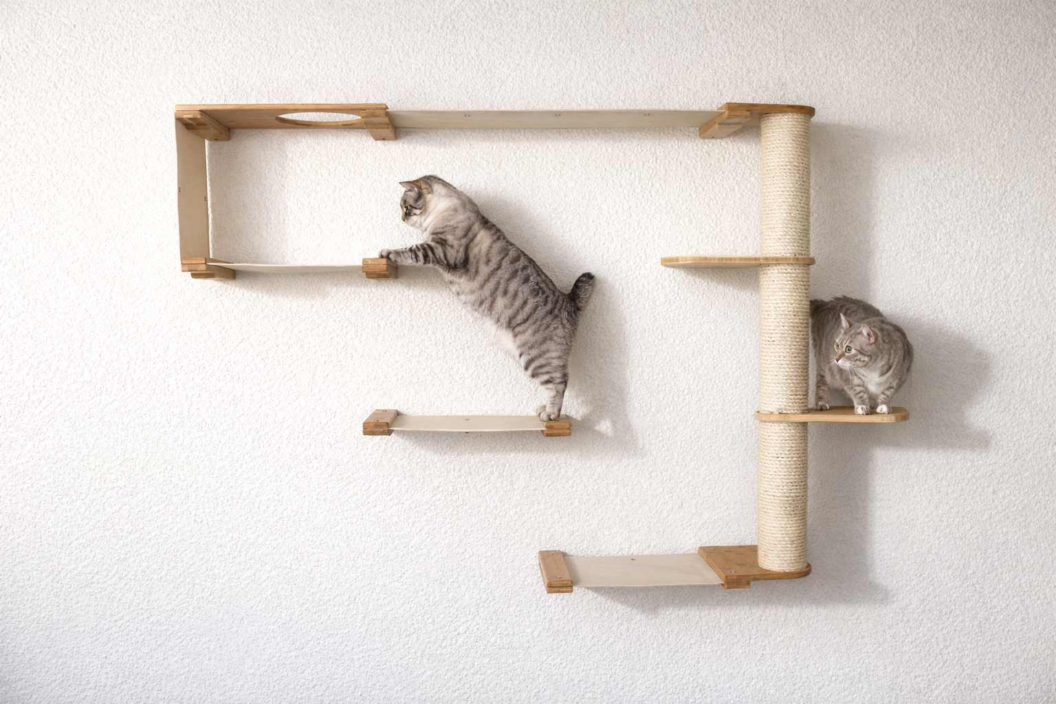 The Climb Condo - Cat Wall Climbing System