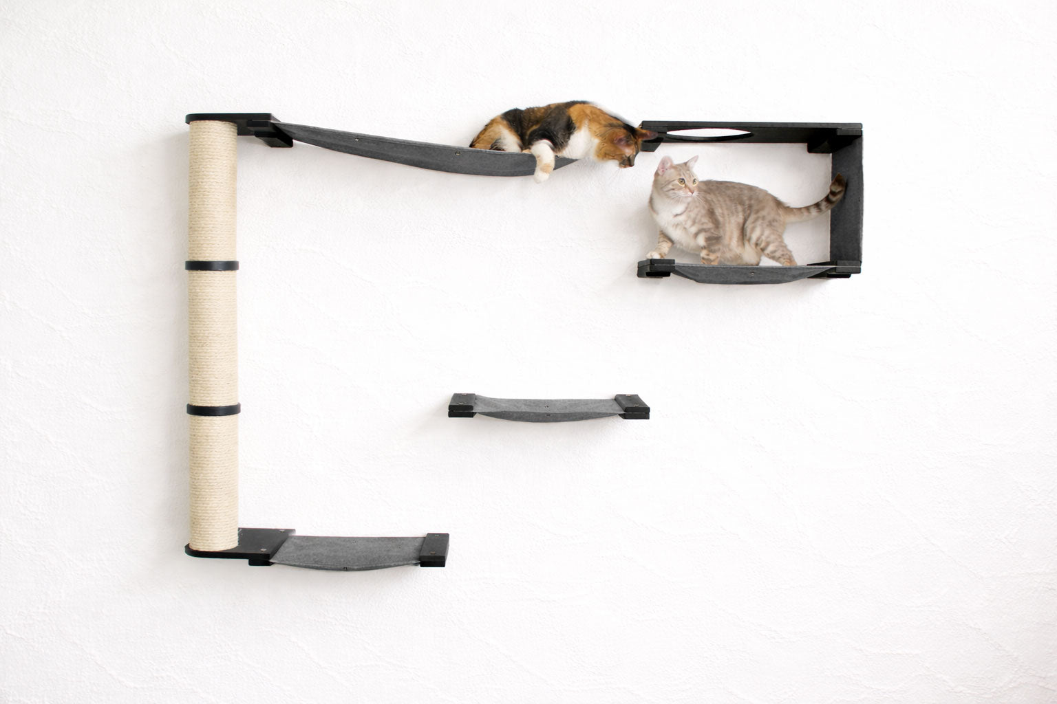 The Climb Condo - Cat Wall Climbing System