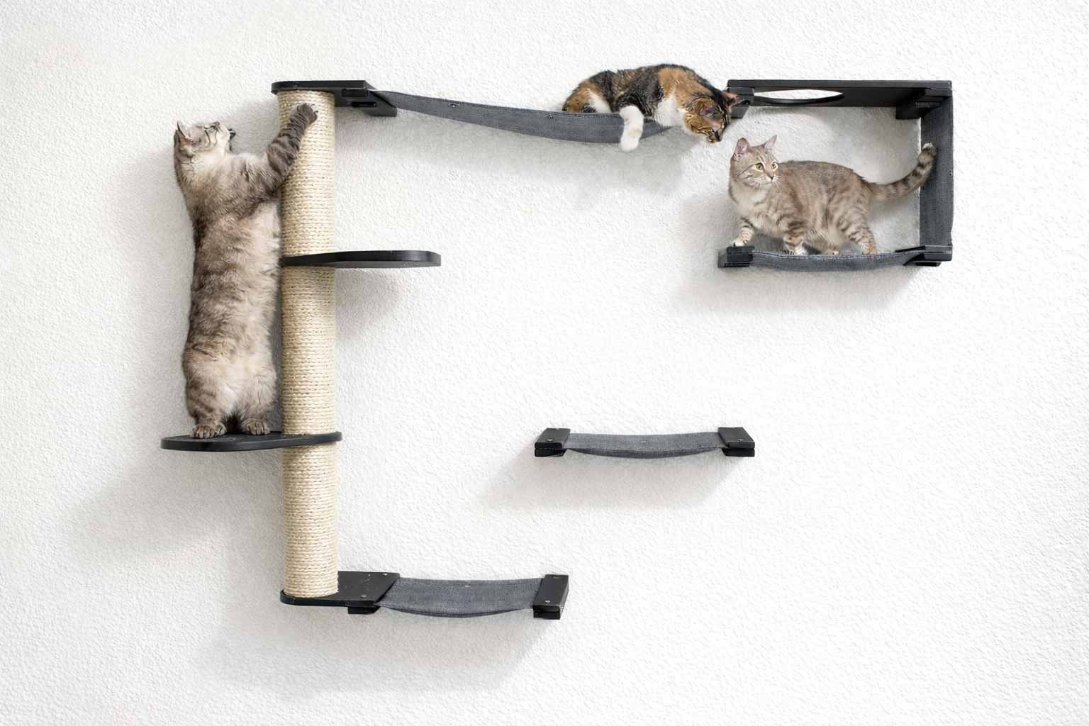 The Climb Condo - Cat Wall Climbing System