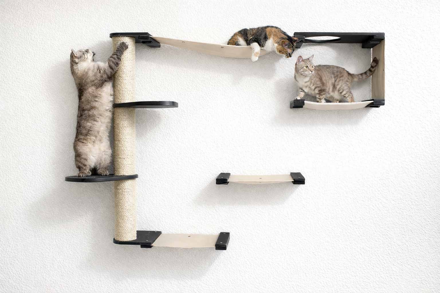 The Climb Condo - Cat Wall Climbing System