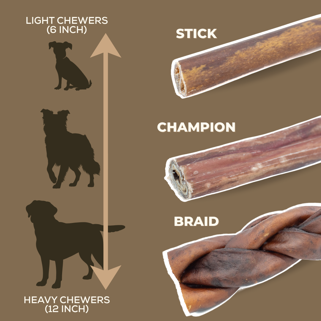 10-12 Inch Collagen Stick