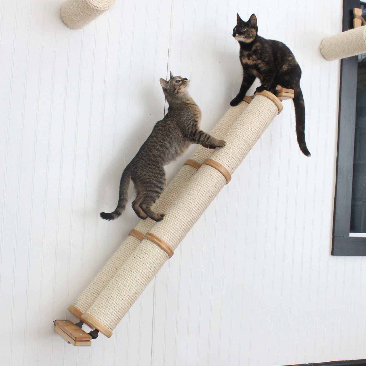 Slanted Cat Scratcher for Wall