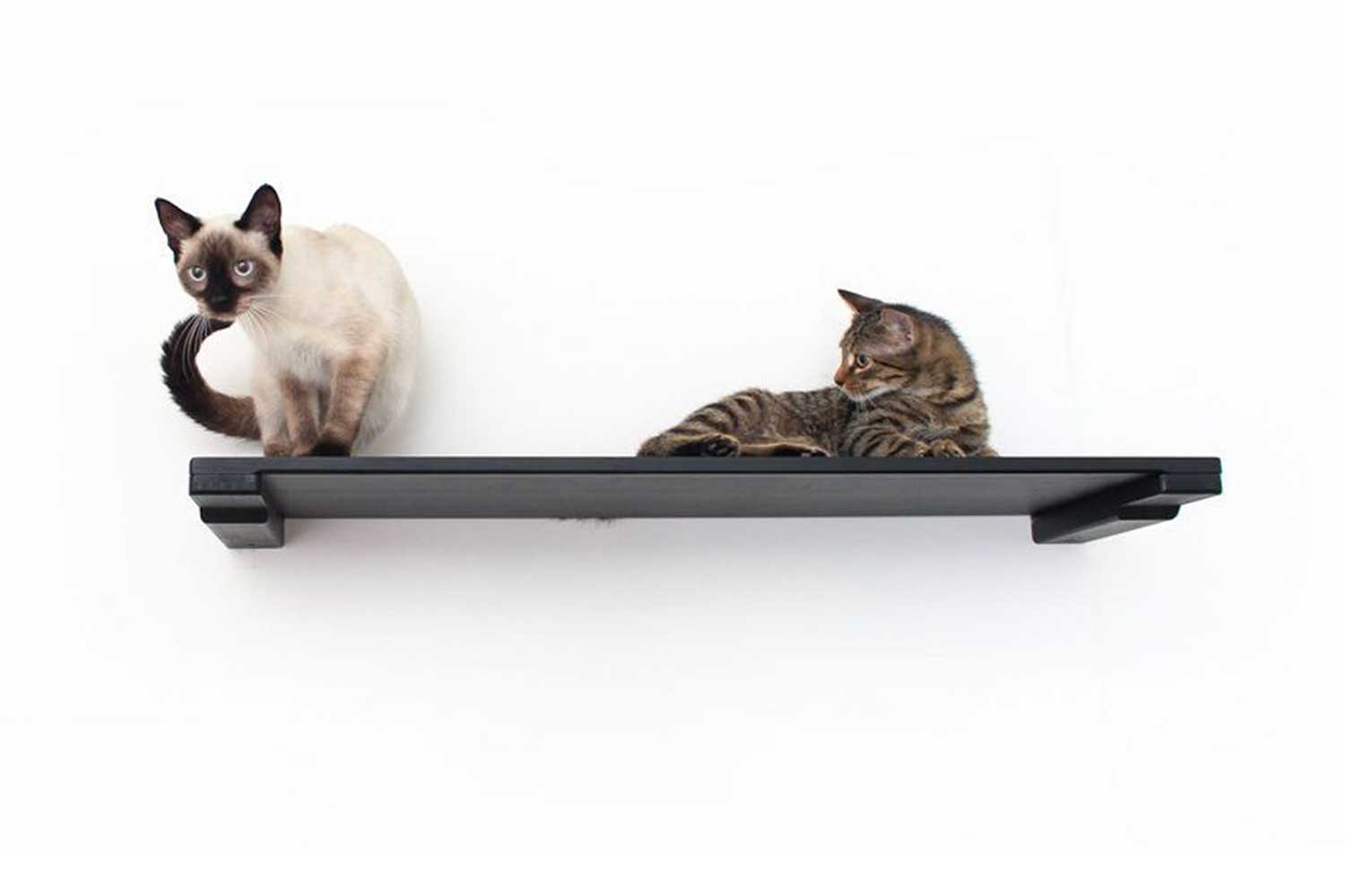 Wall Mounted Cat Shelf