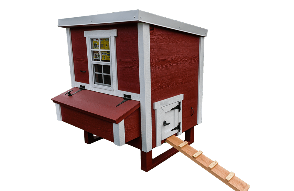 Medium Chicken Coop - Up to 10 Chickens