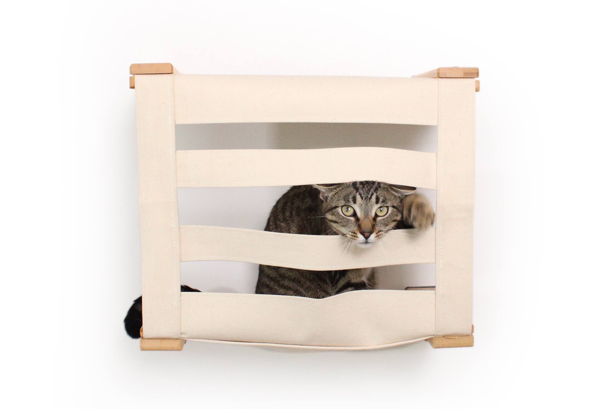 Enclosed Cat Bed - Cat Wall Cubby
