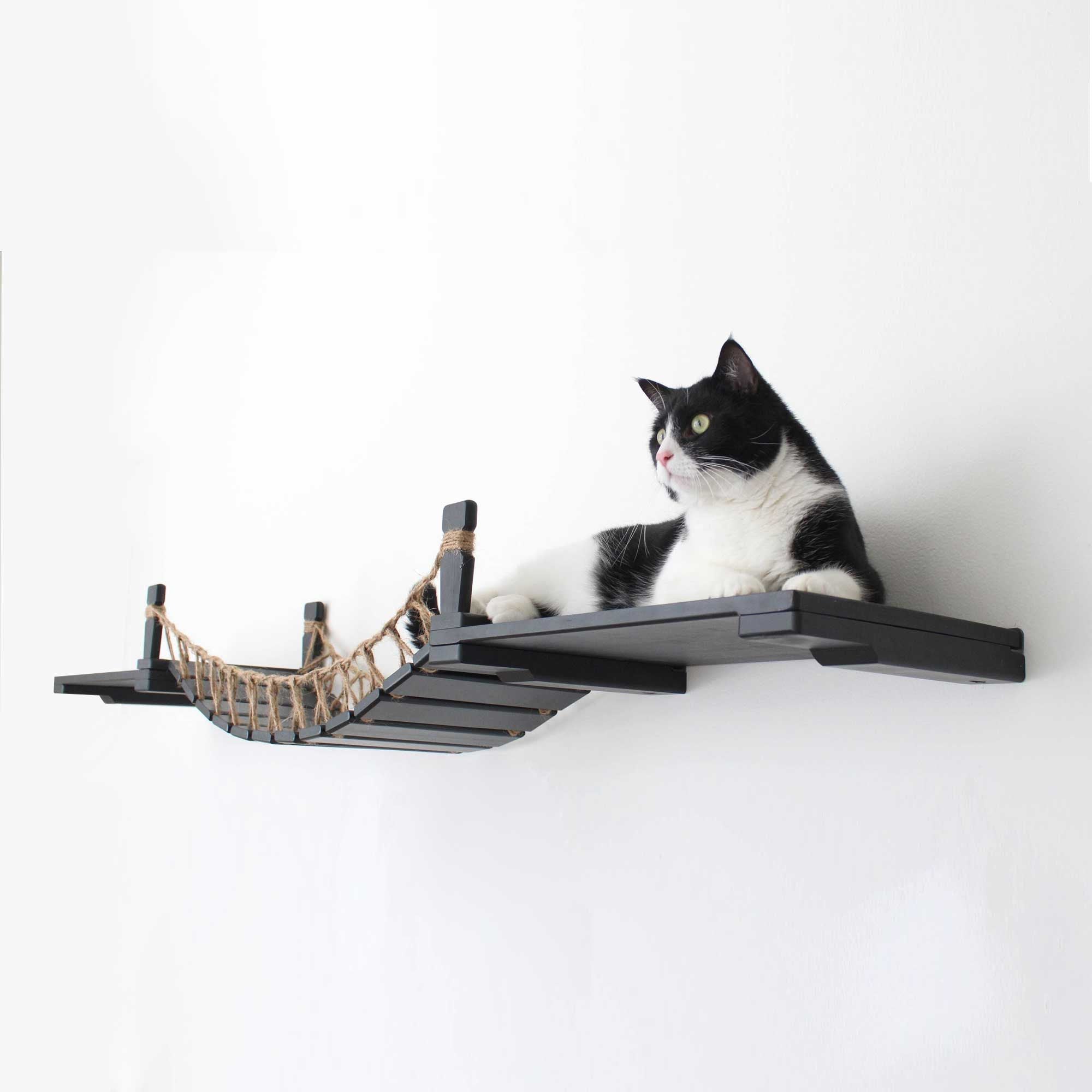 Cat Wall Bridge and Shelf Set