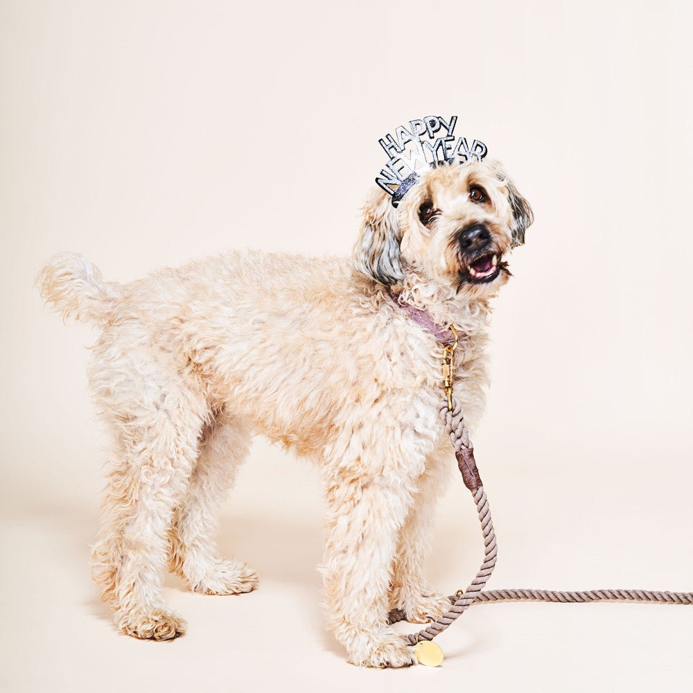 Dark Tan Rope Dog Leash by Found My Animal | Adjustable & Handcrafted