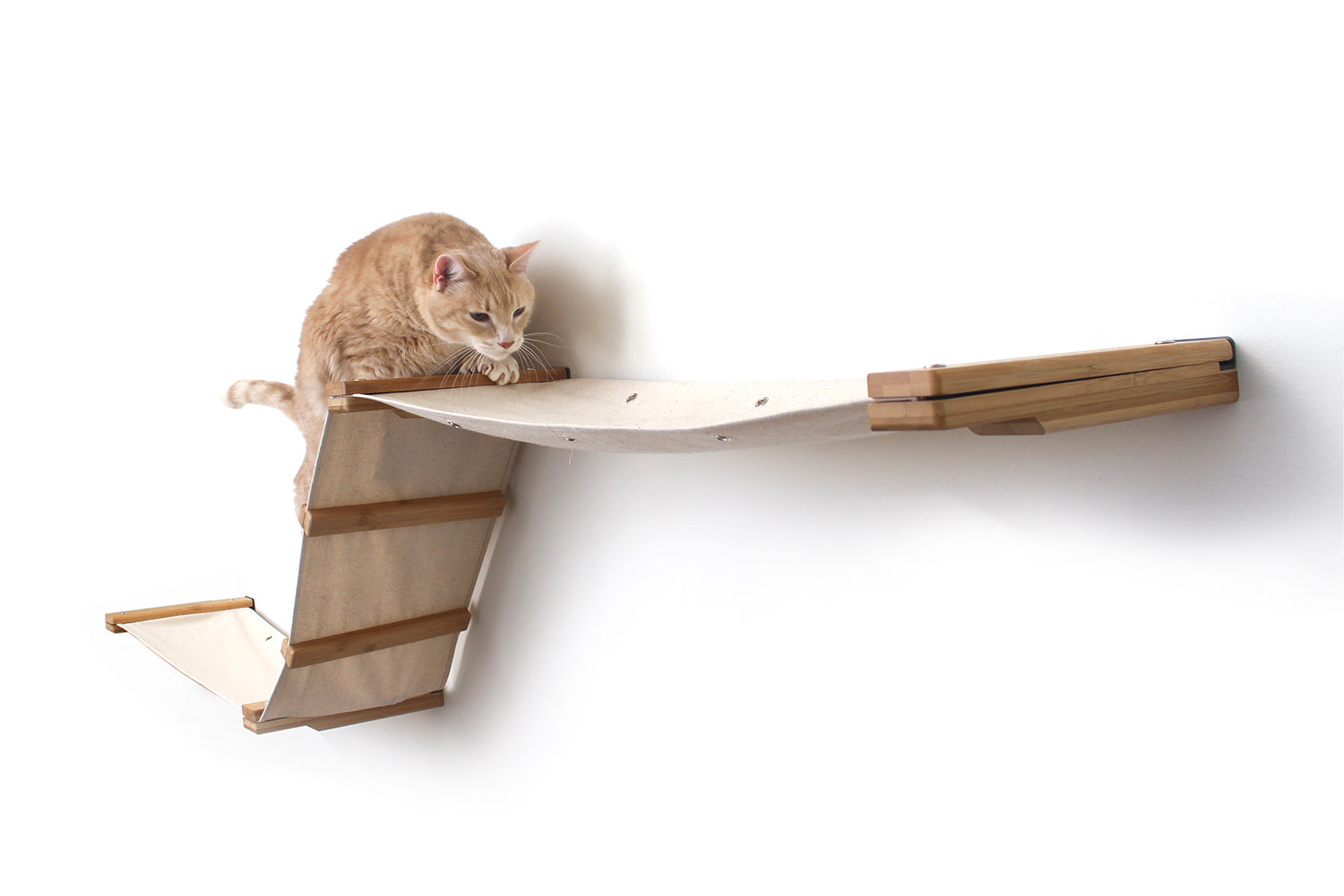 The Raceway - Wall Mounted Cat Hammock
